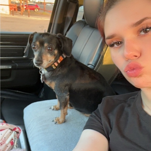 💖 Meet Your Posher 💖 - Picture 13 of 16